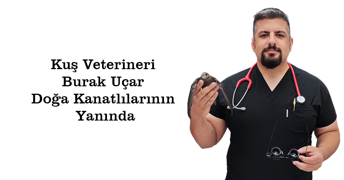 Kuş Veterineri Burak Uçar Doğa Kanatlılarının Yanında